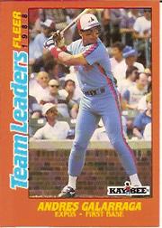 1988 Fleer Team Leaders Baseball Cards 009      Andres Galarraga